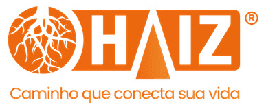 Logo Haiz do Brasil